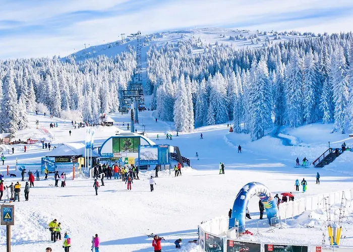 Forest View Apartments In Winterberg Sauerland