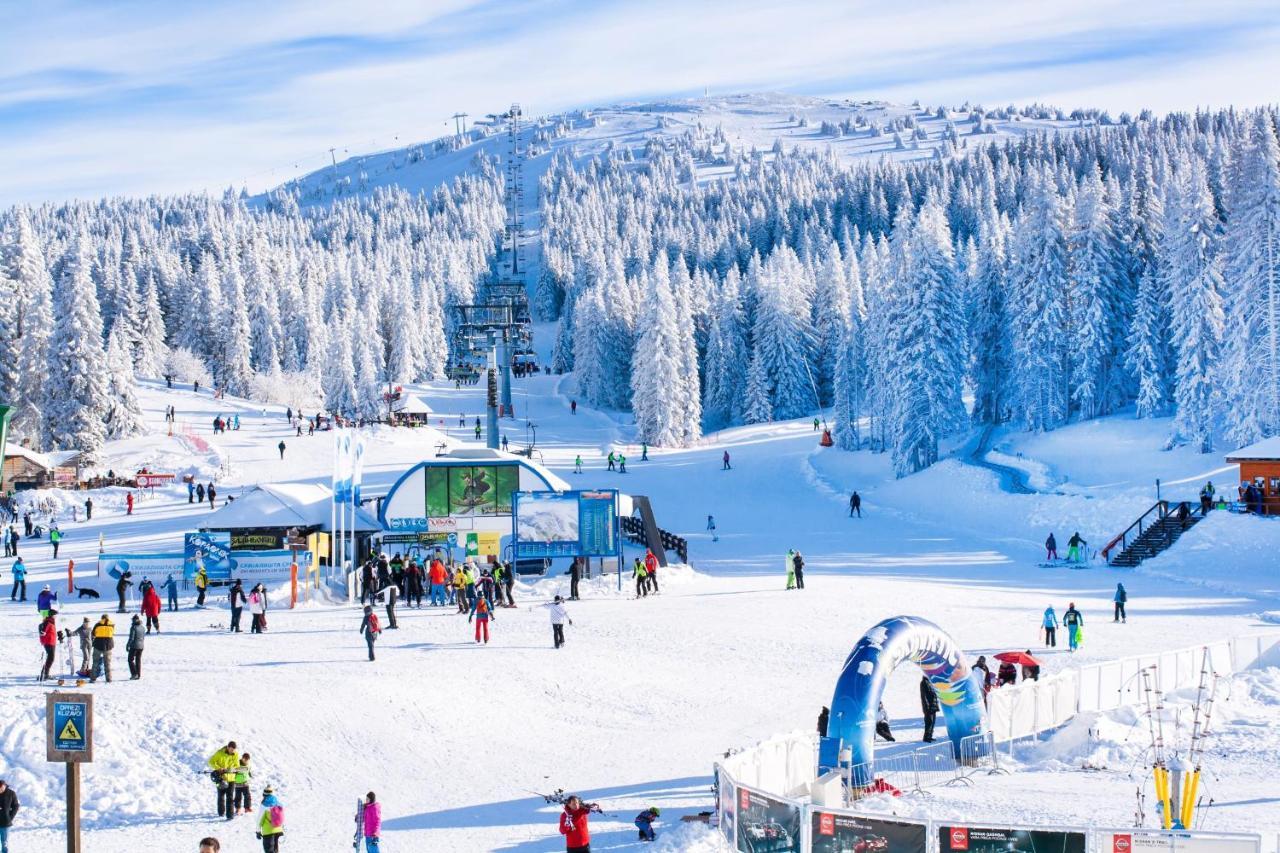 Forest View In Winterberg Sauerland Medebach